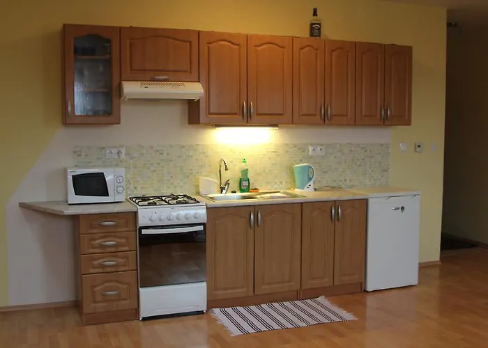 公寓 哈香思卡公寓 *